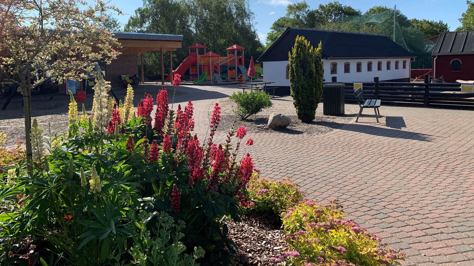 To losser var kortvarigt på fri fod i Jyllands Park Zoo i Haunstrup – for seks uger siden var det en zebra, der fik friheden at føle