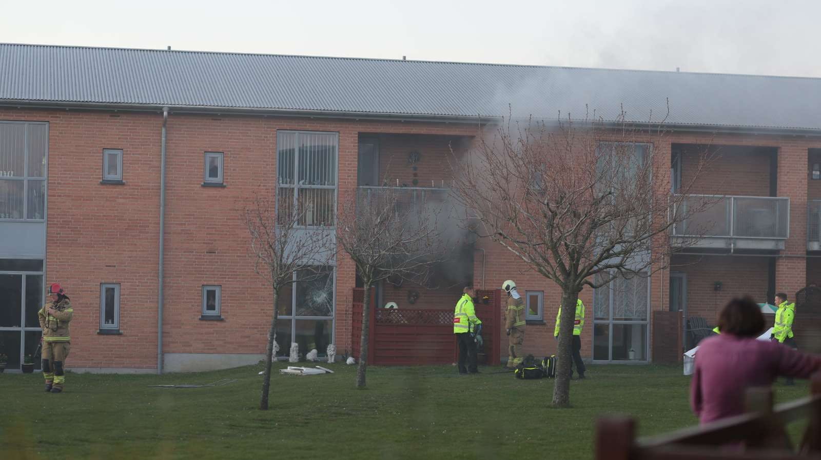 Ikke lige det man har lyst til at se i sit hjem.