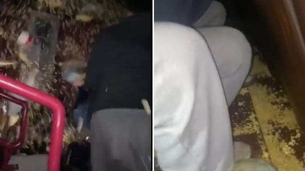 Unge smider med popcorn og råber og skriger under filmen "Minecraft".