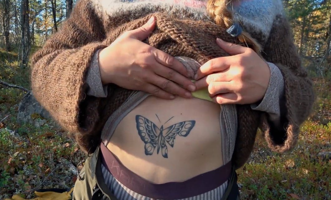 Zenia blev inspireret til motivet, fordi der er mange insekter og sommerfugle på den gård, hun bor på.