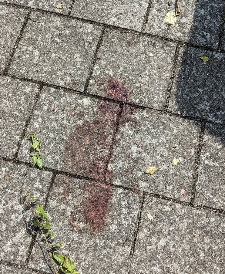 Blod på fliserne efter, at 72-årige Asbjørn mistede herredømmet over bilen og kom til at påkøre to personer. De blev kørt på hospitalet, men kom ikke alvorligt til skade.
