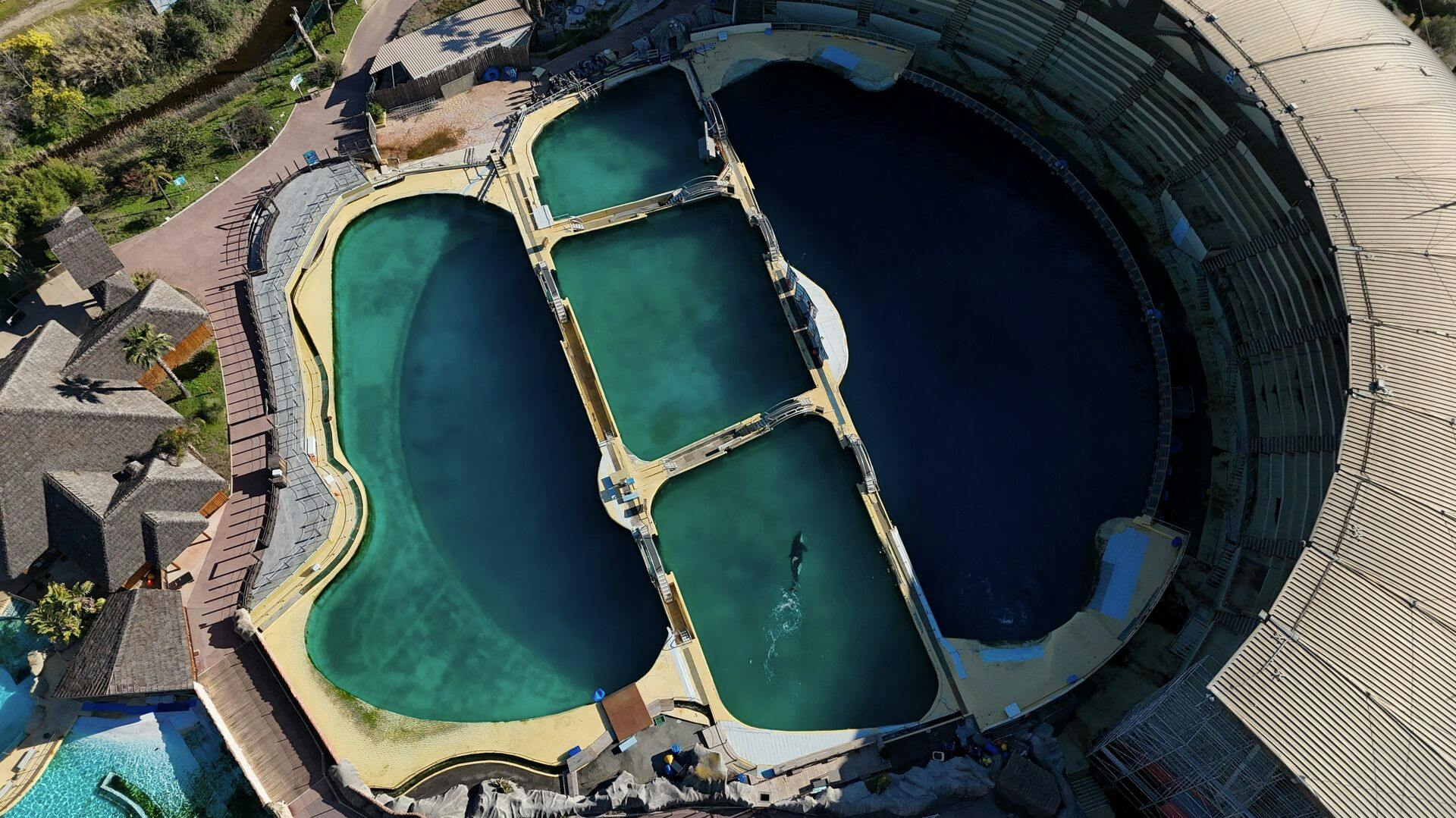 Forlystelsesparken lukkede permanent 5. januar - siden har delfiner og spækhuggere levet et særdeles kummerligt liv.
