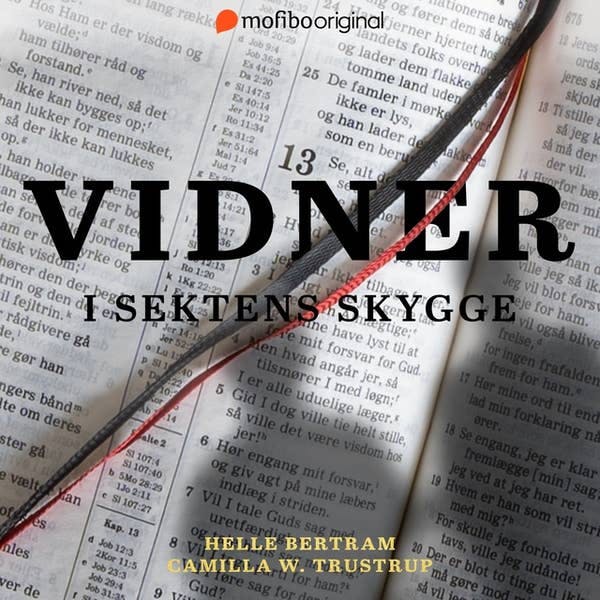 https://imgix.seoghoer.dk/2025-05-20/Vidner-%281%29.jpeg