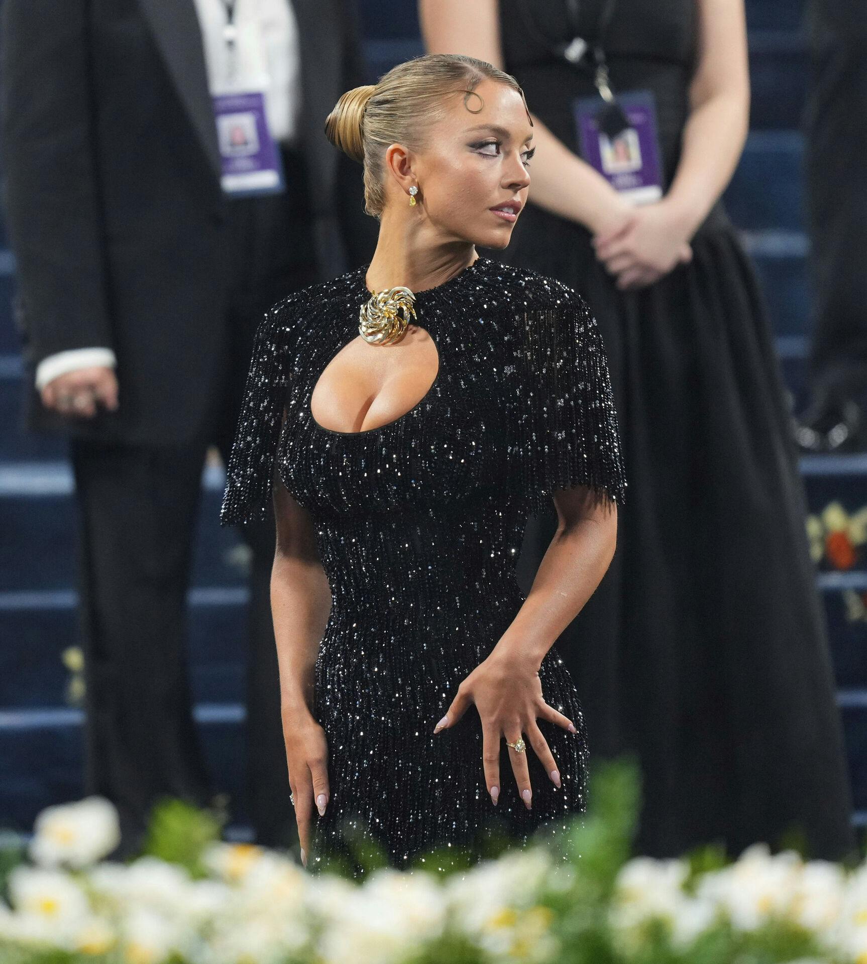 Photo by: zz/XNY/STAR MAX/IPx 2025 5/5/25 Sydney Sweeney at the 2025 Costume Institute Benefit Gala - aka The Met Gala - celebrating the opening of the exhibition "Superfine: Tailoring Black Style" held on May 5, 2025 at The Metropolitan Museum of Art in New York City. (NYC)