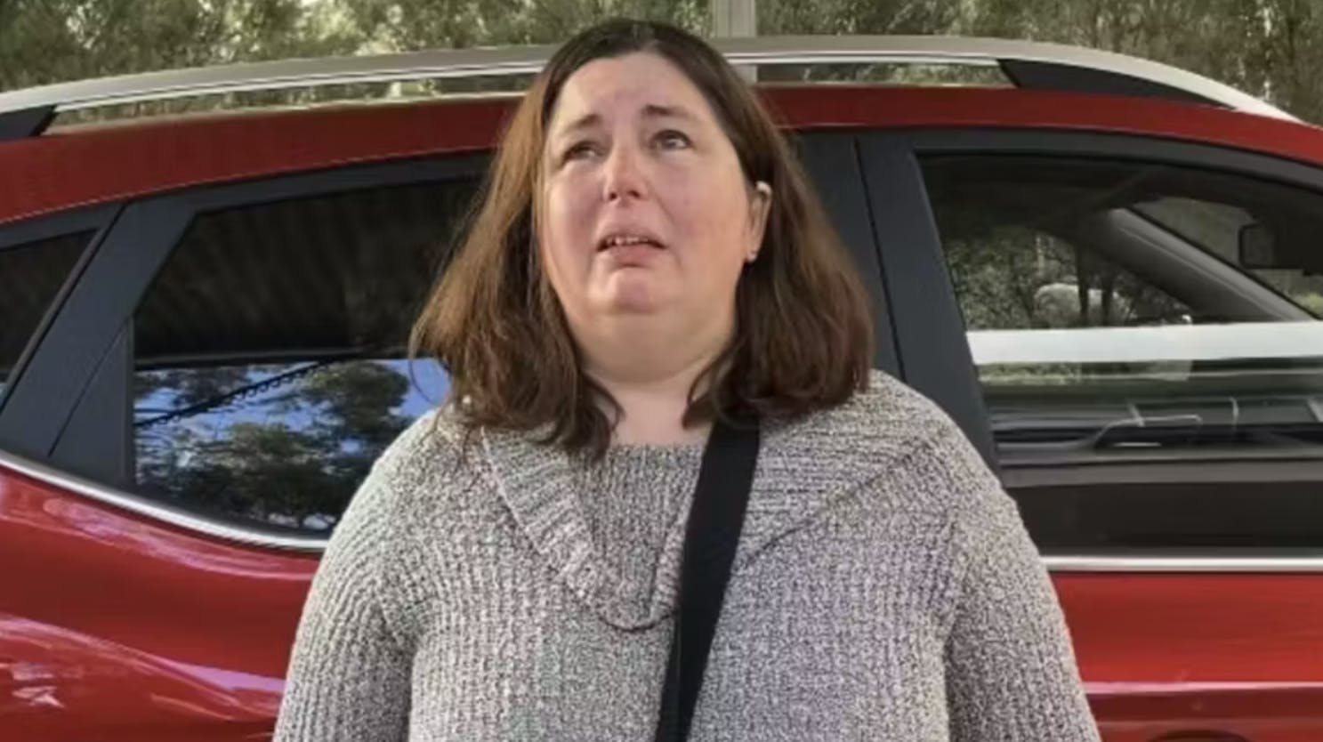 Australske Erin Patterson – der er tiltalt for at have dræbt tre frokostgæster med en forgiftet Beef Wellington-ret – indrømmer nu, at der var grøn fluesvamp i frokostretten