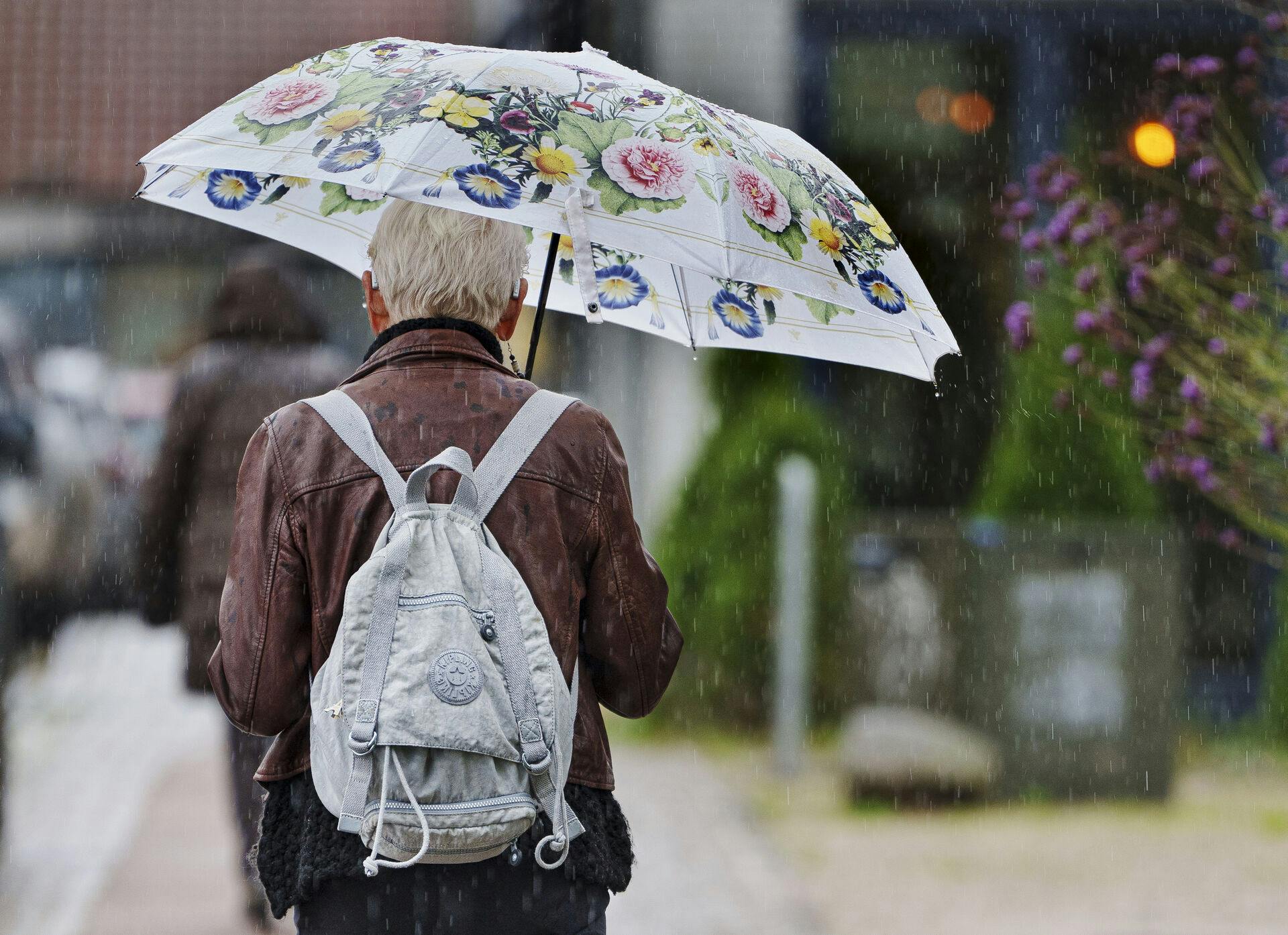 Dame med paraply i Frederiksværk. Våd dag med kraftig regn og byger i Nordsjælland fredag den 27. september 2024. Weekenden bliver præget af blæsevejr og regn, og allerede fredag kan store dele af Jylland blive ramt af lokale skybrud. Det skriver Danmarks Meteorologiske Institut (DMI) fredag morgen.
