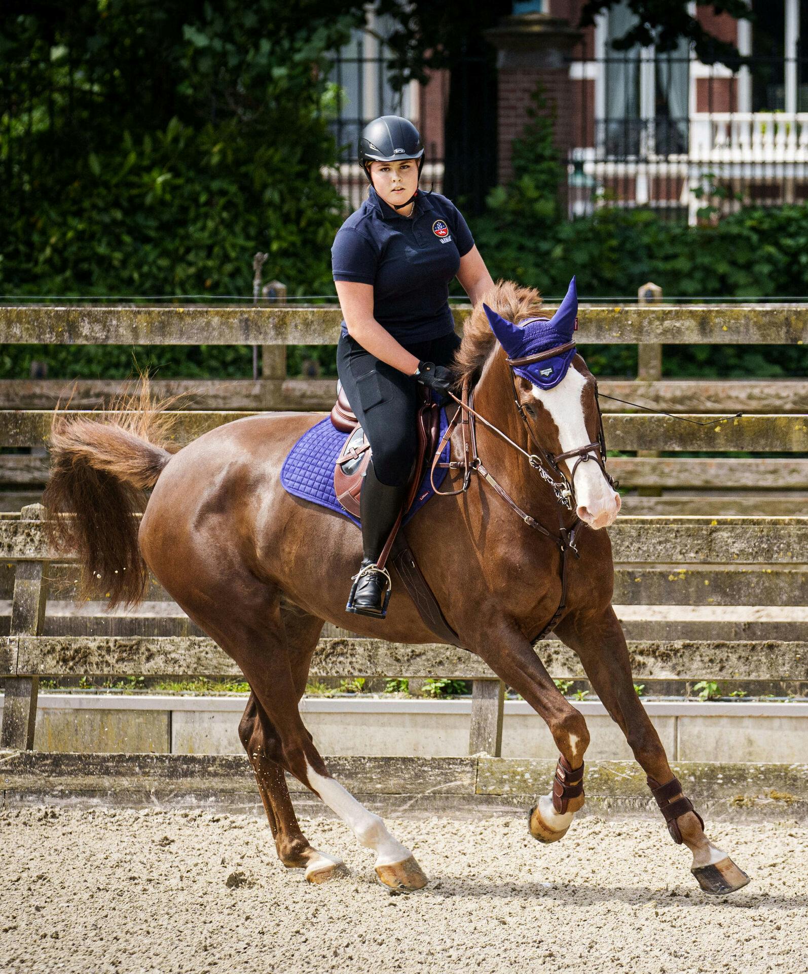 Kronprinsesse Catharina-Amalia er en ivrig rytter. Tirsdag gik det dog galt.