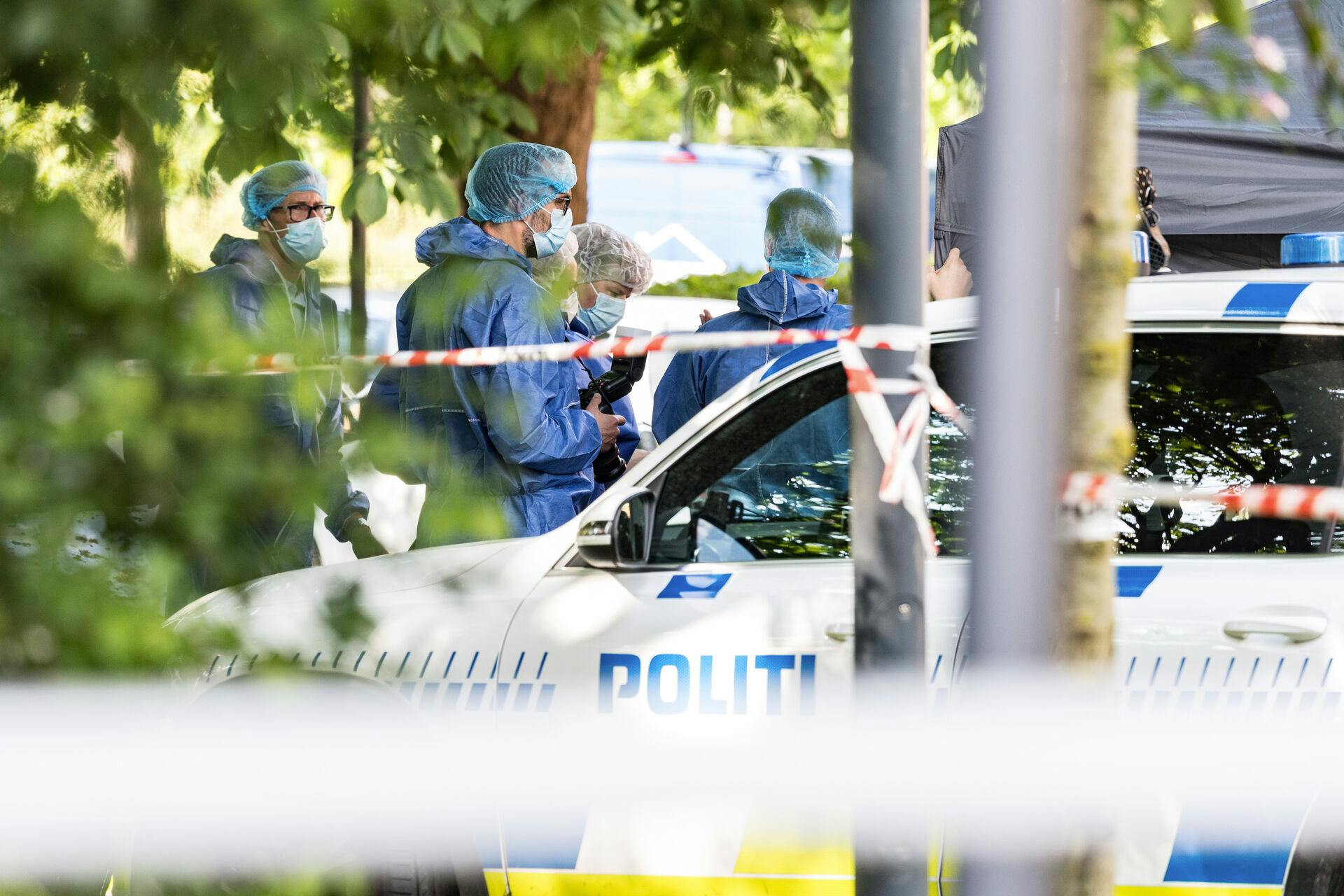 Der kom flere uhyggelige detaljer frem om drabet på den 47-årige kvinde.