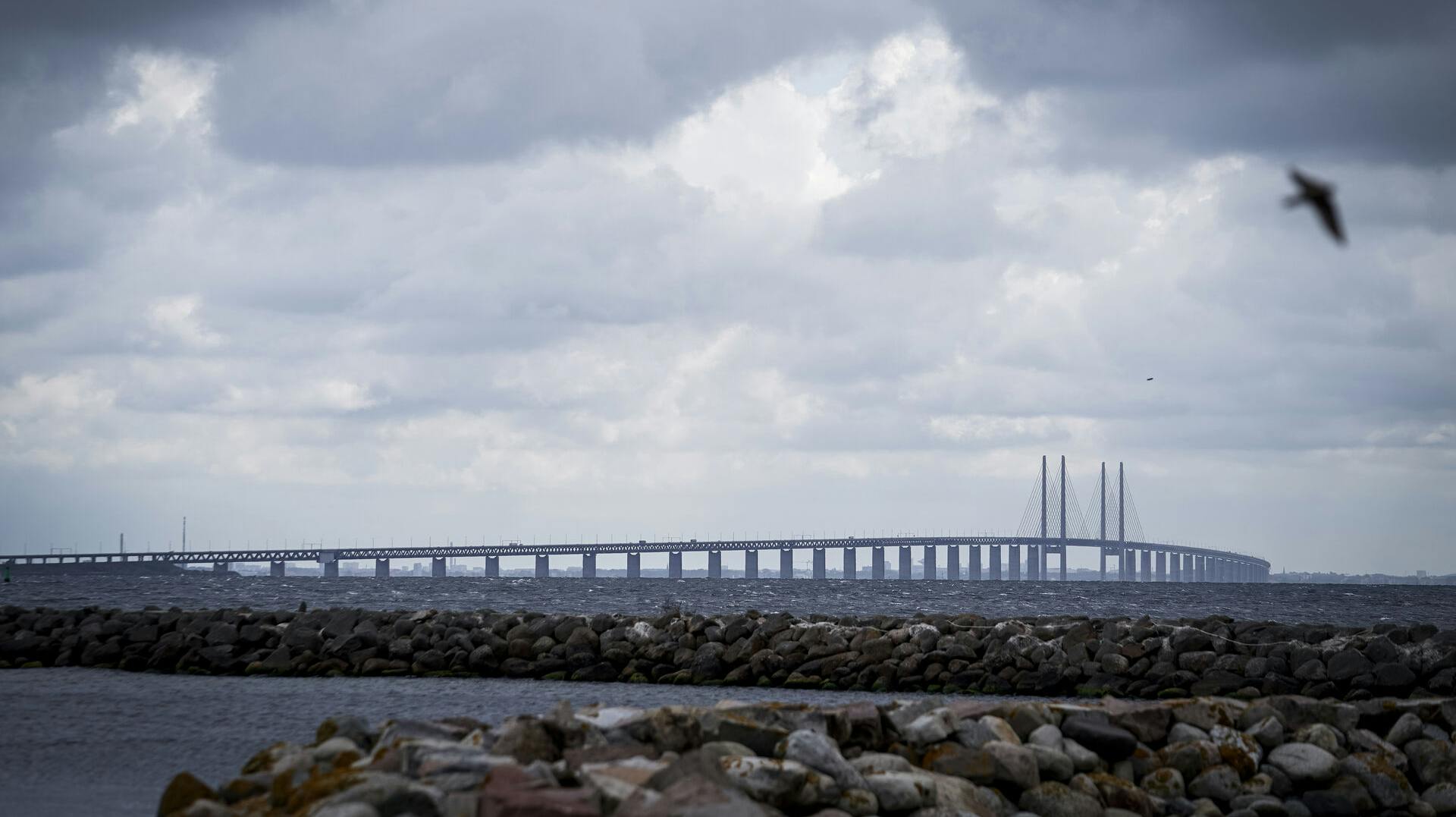Der skal mange penge op af lommen, hvis man vil køre på Øresundsbroen.