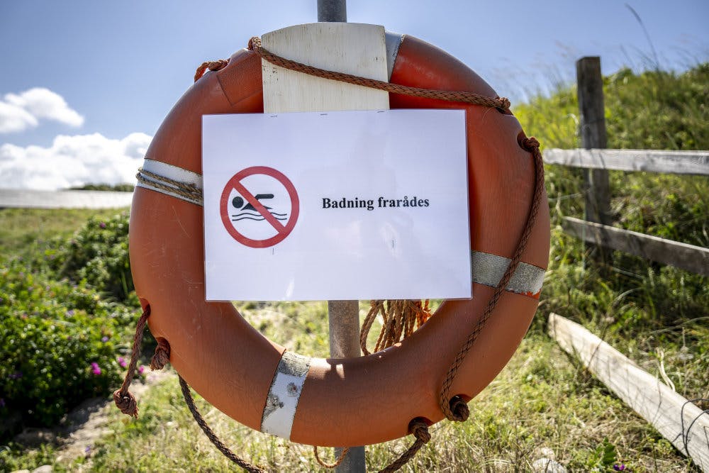 Hvis man gerne vil bade ved tre nordsjællandske strande i weekendens solskin, bliver man mødt af "badning frarådes" skilte. Billedet er fra en anden strand.