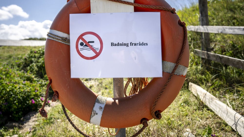 Hvis man gerne vil bade ved tre nordsjællandske strande i weekendens solskin, bliver man mødt af "badning frarådes" skilte. Billedet er fra en anden strand.