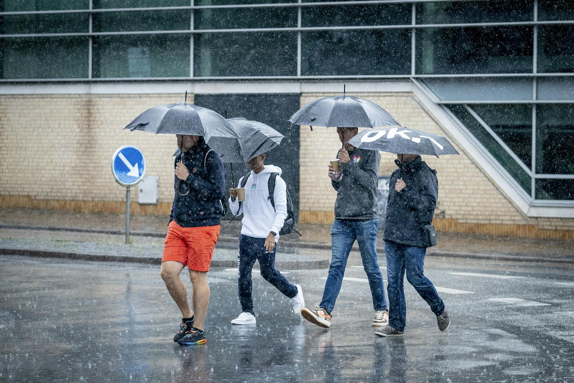 Det kan meget vel blive nødvendigt at finde paraplyen frem enten søndag aften eller mandag, hvor det danske sommervejr vender endnu en gang.