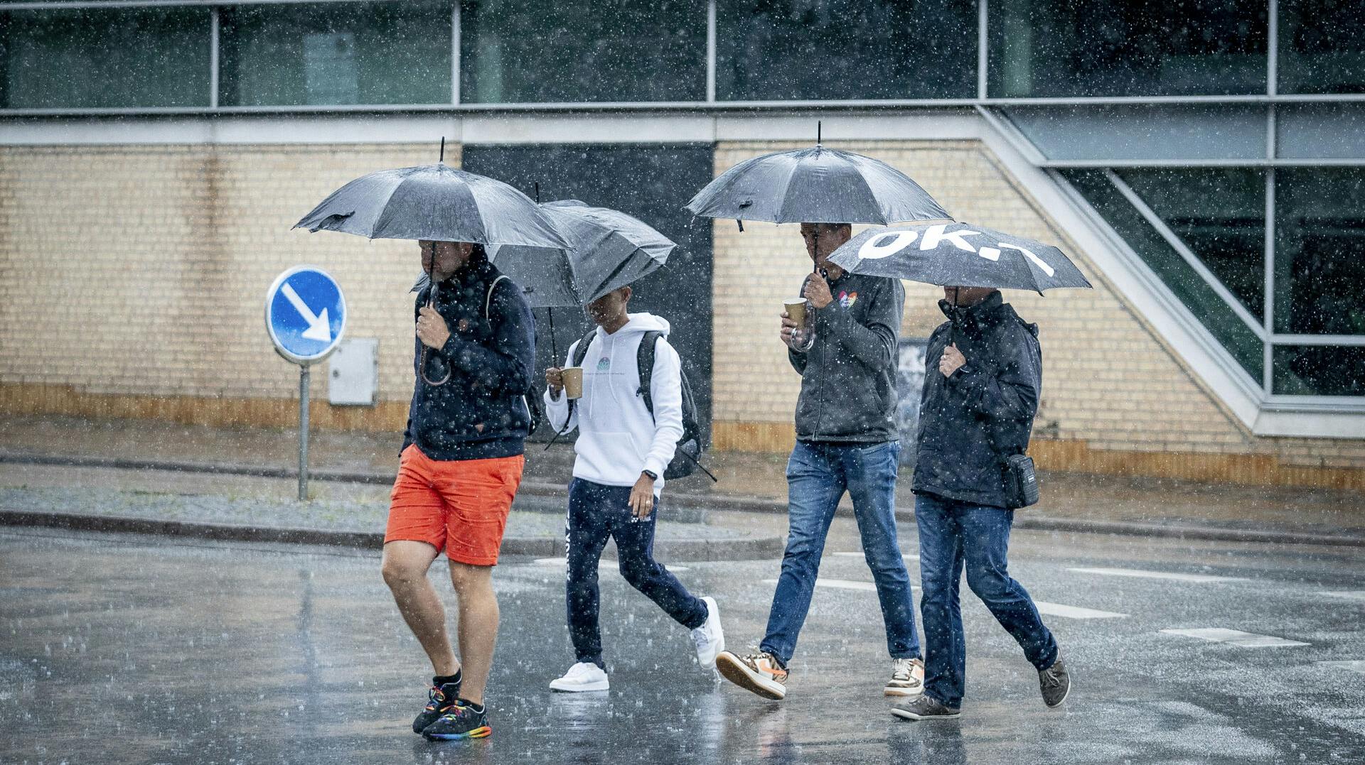 Det kan meget vel blive nødvendigt at finde paraplyen frem enten søndag aften eller mandag, hvor det danske sommervejr vender endnu en gang.