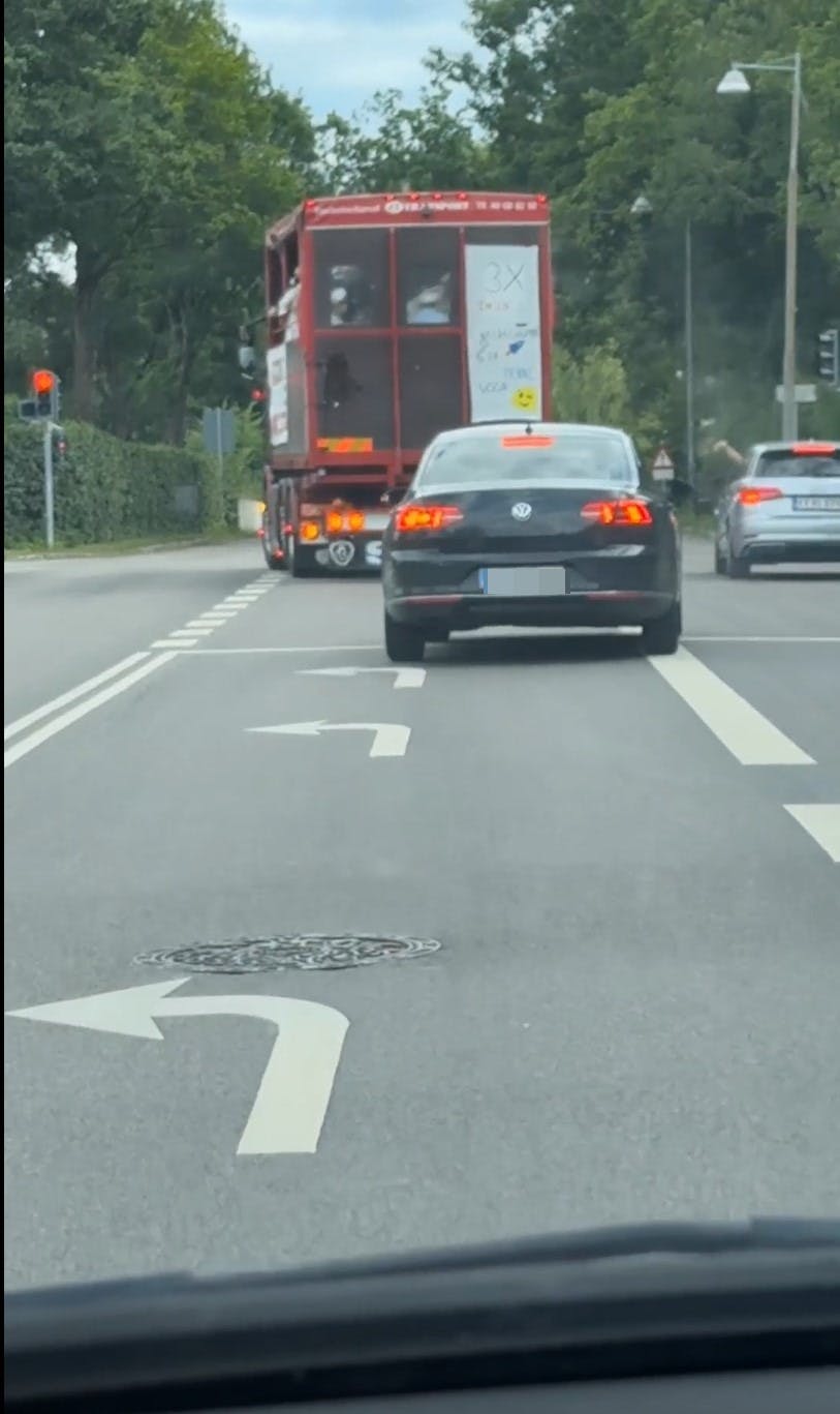 En gruppe studenter fik ødelagt festen for en stund, da de blev angrebet med æg i Albertslund.