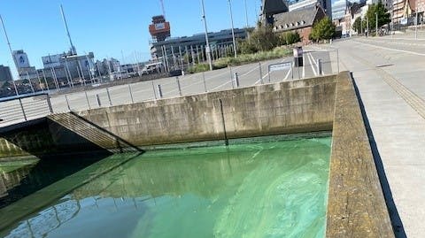 Selv om det kan være fristende at hoppe i vandet, bør man ikke gøre det. 