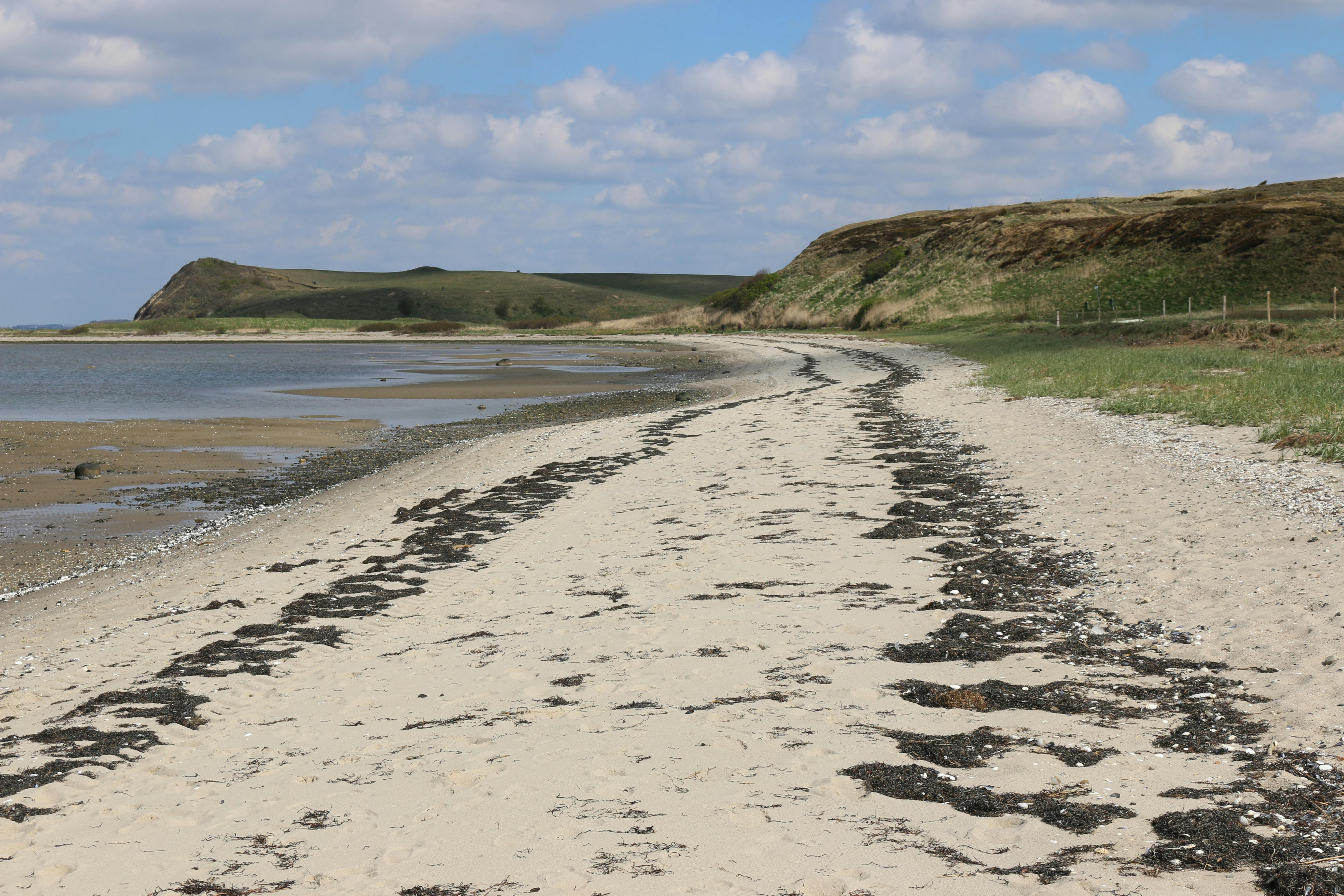 Der bør ikke bades ved Ulbjerg Strand indtil minimum onsdag.&nbsp;