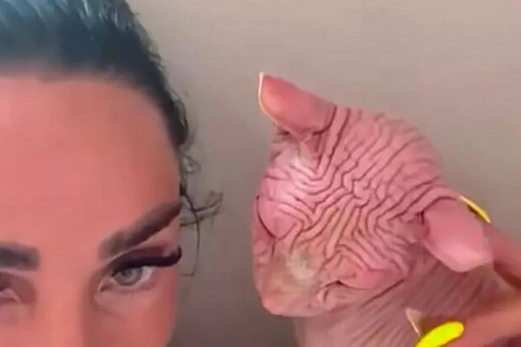 Her ses Katie Price med sin solbrændte kat.