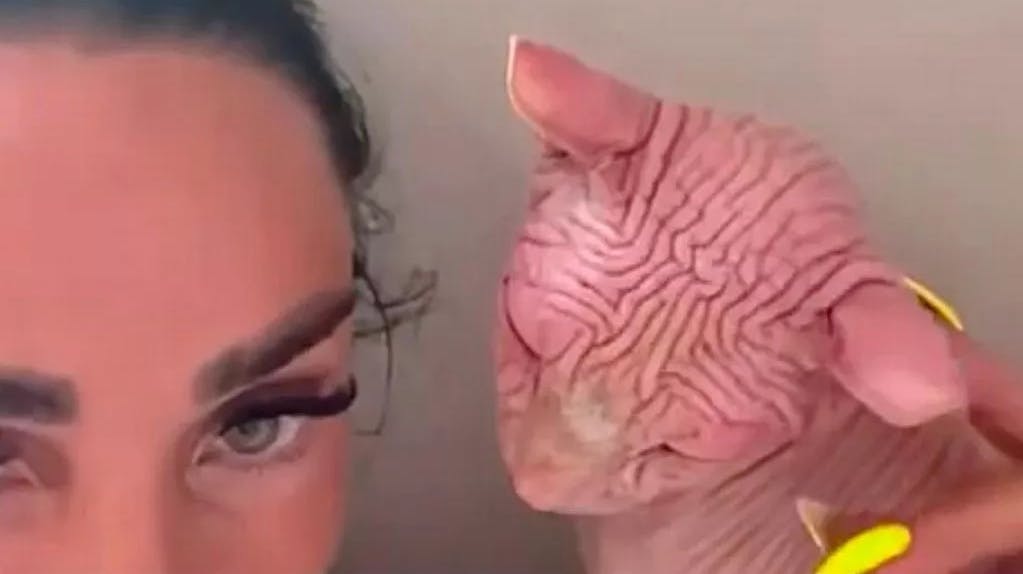 Her ses Katie Price med sin solbrændte kat.