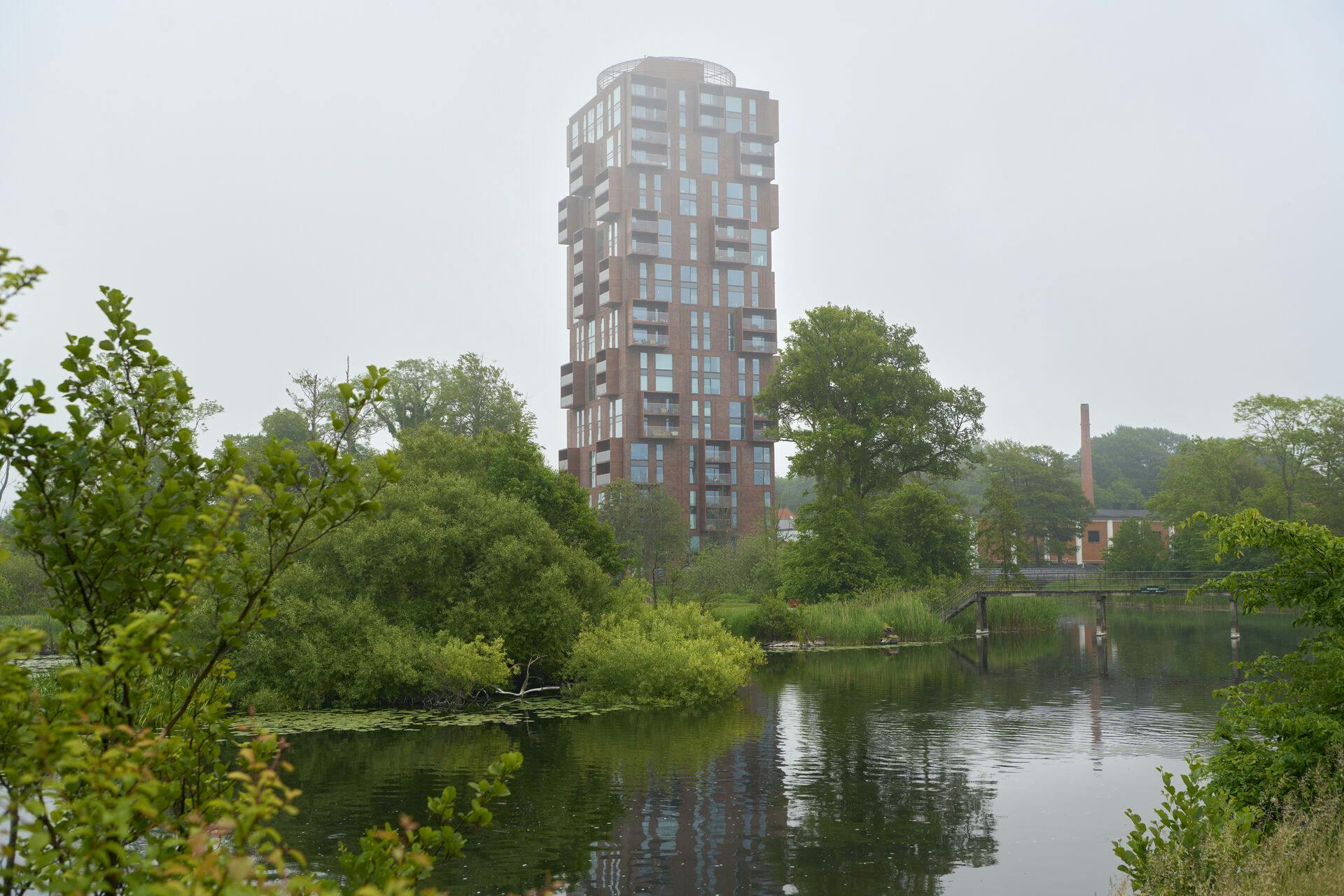 Der er boret hul og hældt gift i flere træer ved Silkeborg Langsø.