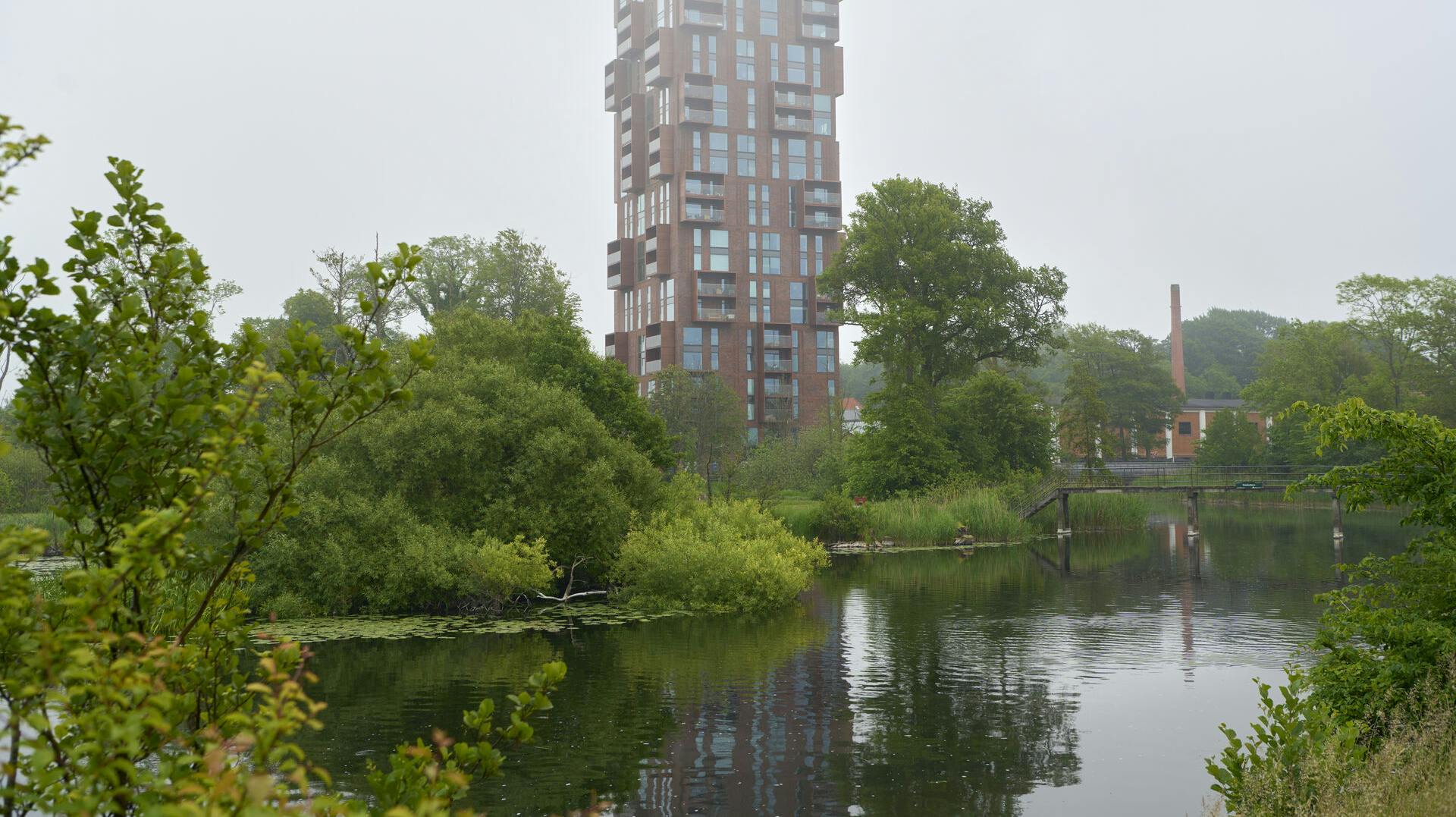 Der er boret hul og hældt gift i flere træer ved Silkeborg Langsø.