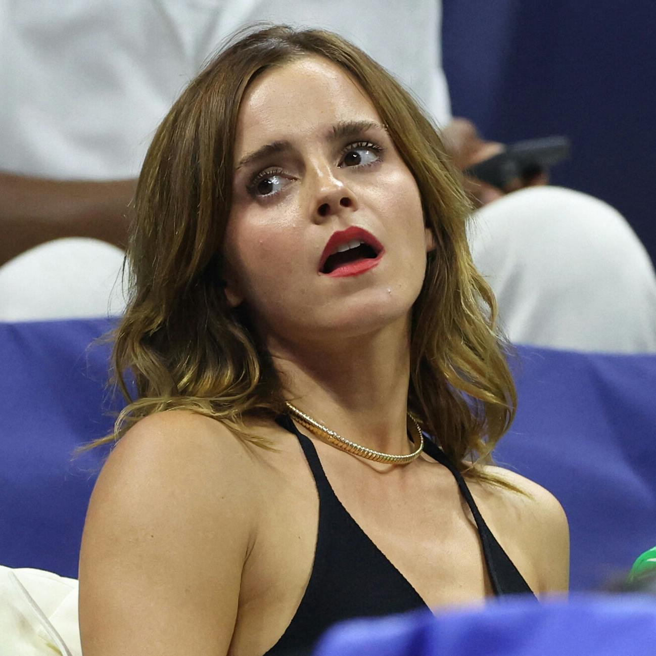Emma Watson skulle have taget kosten...
