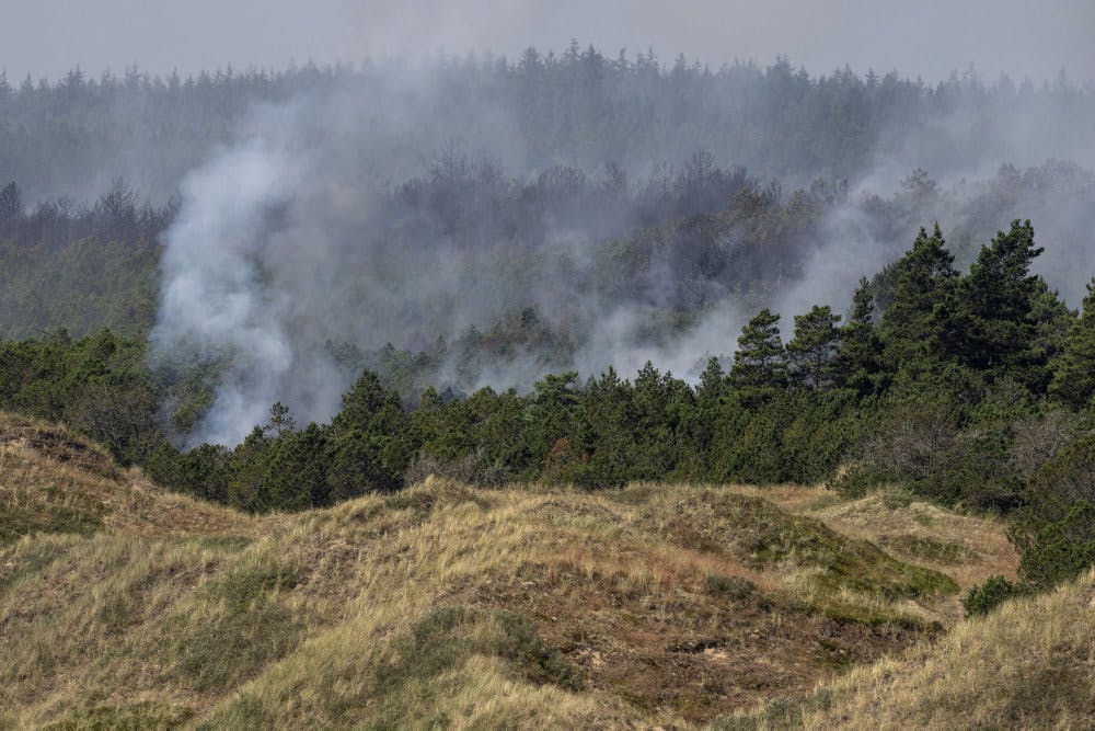 En naturbrand har hærget i Skagen Klitplantage siden mandag. Brandvæsenet har problemer med at få slukket den helt.