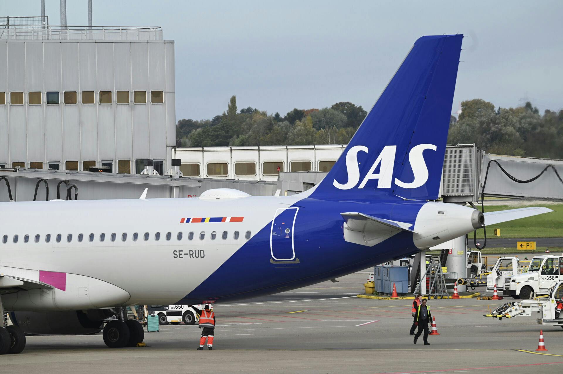 Det bliver ikke hos SAS, der kommer børnefri fly.