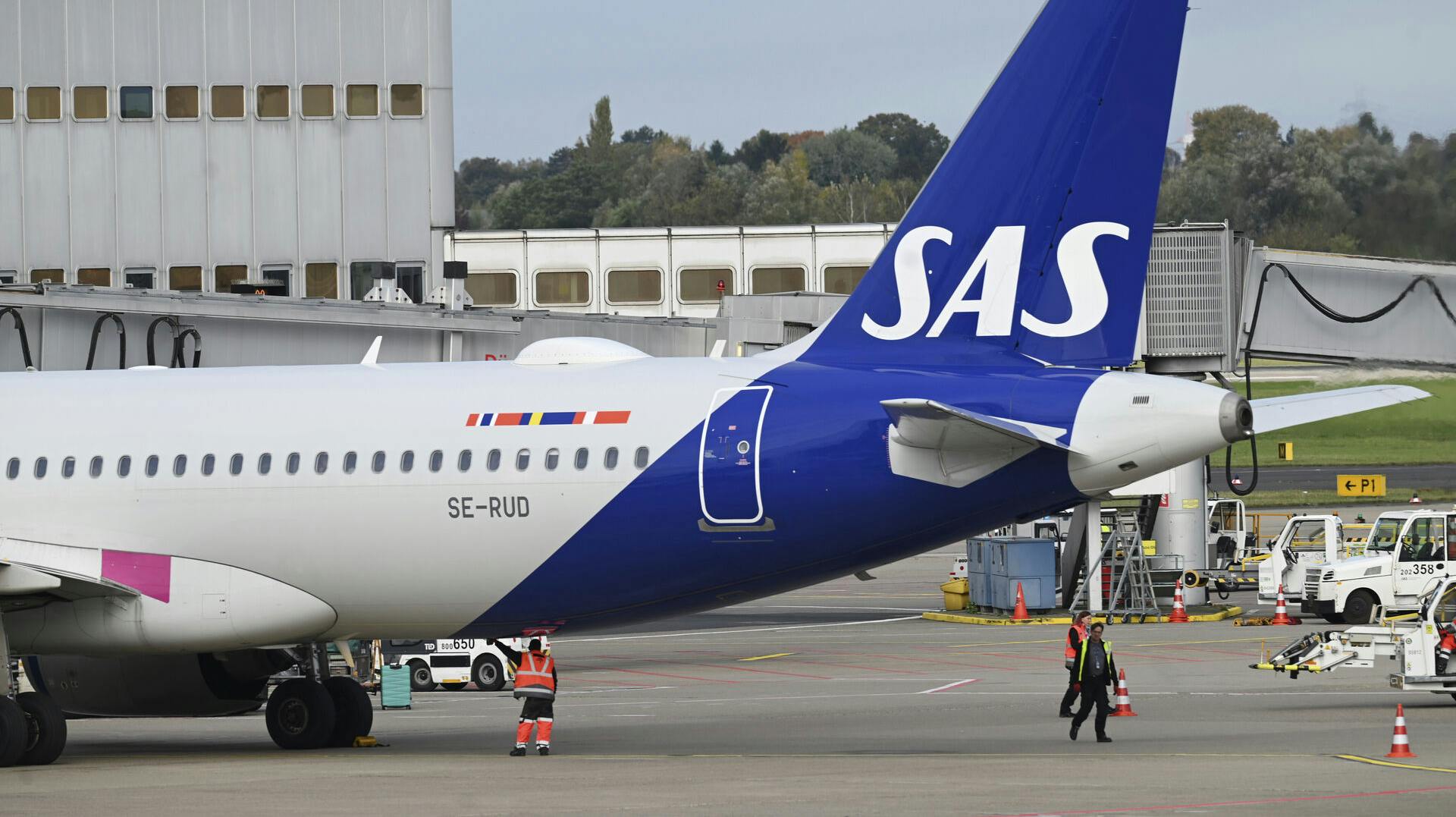 Det bliver ikke hos SAS, der kommer børnefri fly.