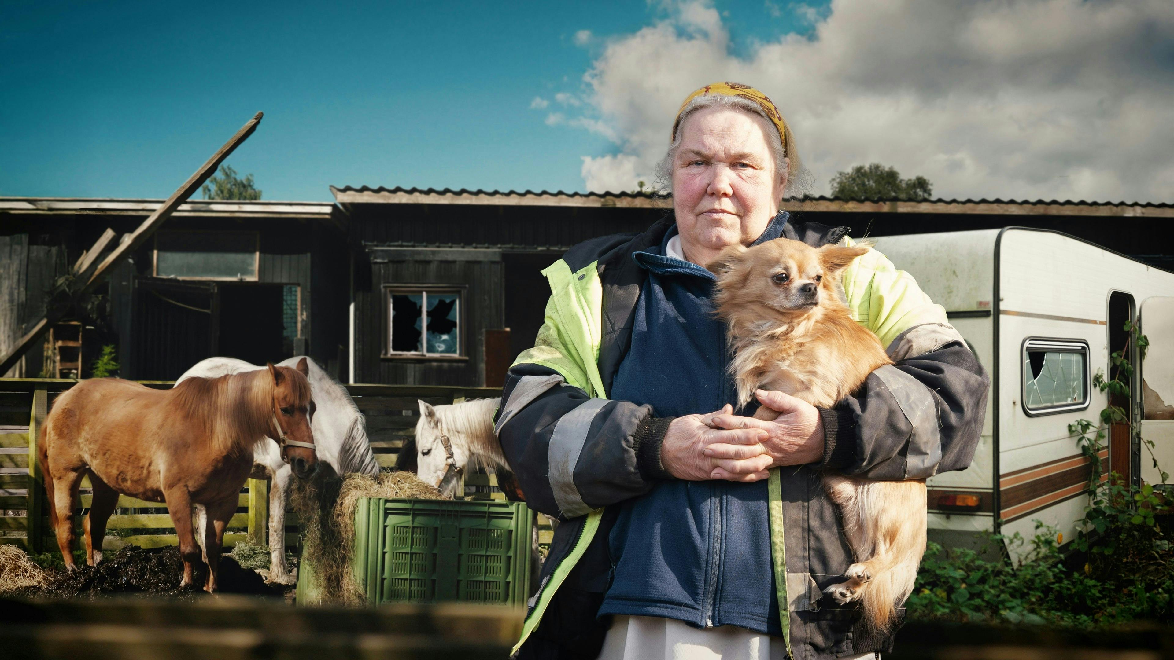 Tove Æbeløe driver en utraditionel hesteejendom i Dragør, omgivet af rod, campingvogne og socialt udsatte. Men luften er tyk af had på den lille grusvej.