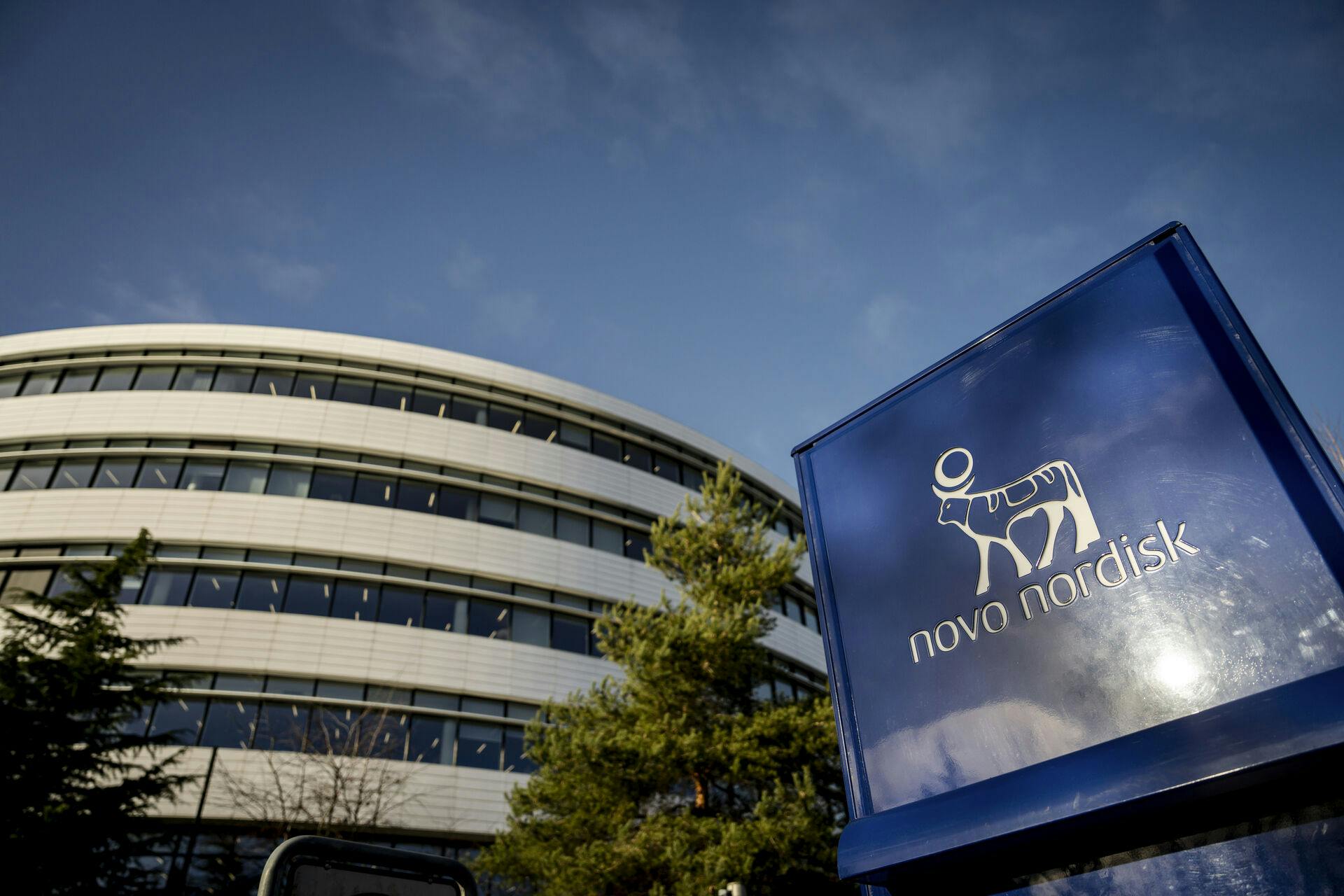 Novo Nordisk i Bagsværd, onsdag den 5. februar 2025.. (Foto: Mads Claus Rasmussen/Ritzau Scanpix)