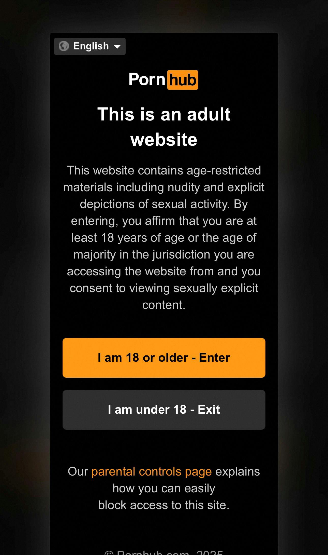 Sådan ser det ud i dag, når man skal verificere sin alder på voksenhjemmesiden PornHub.