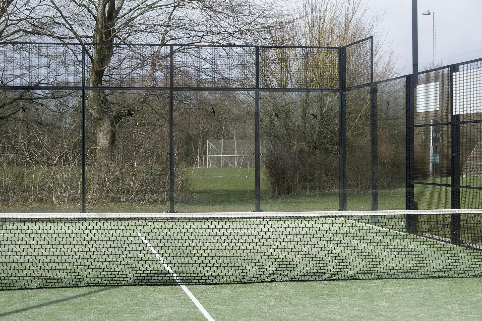 Udendørs padelbaner skaber store problemer for fugle. 