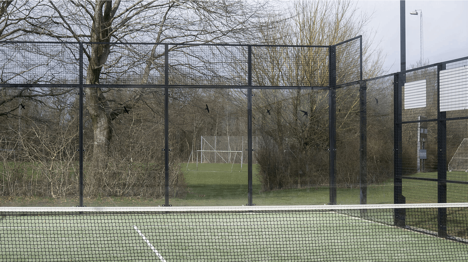Udendørs padelbaner skaber store problemer for fugle.