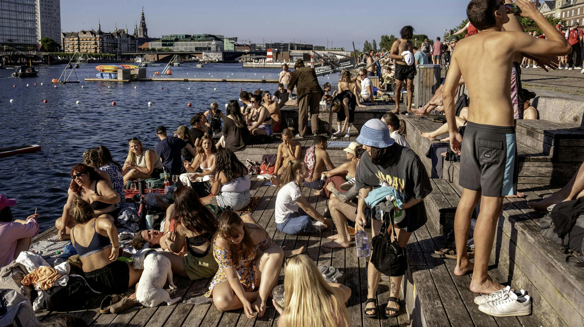 Det er blandt ved Islands Brygge, hvor varslingen om E.coli-bakterier er gældende.