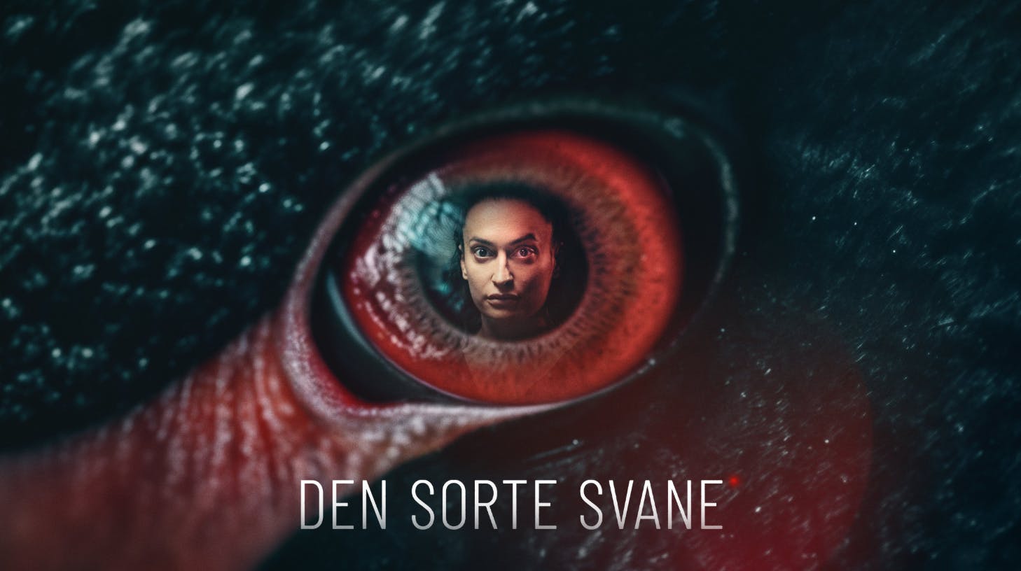 "Den sorte svane" rullede oprindeligt over skærmen sidste år, men tidligere i år blev der sendt to nye afsnit af TV 2-hittet.