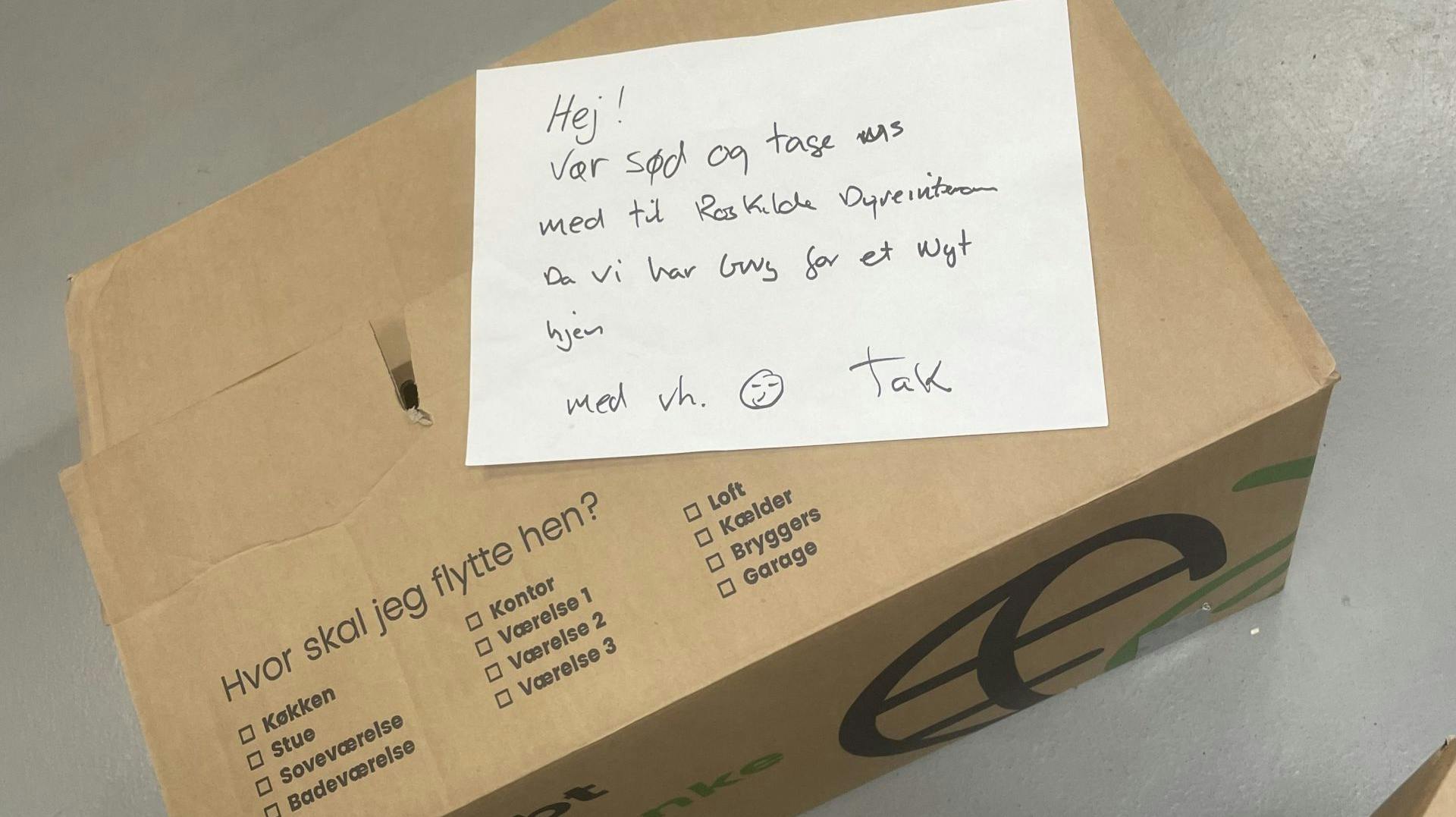 Under årets Roskilde Festival fik dyreinternatet i Roskilde indleveret en papkasse, som en årvågen borger havde fundet ikke langt fra festivalpladsen – heri lå 12 forsvarsløse marsvin.