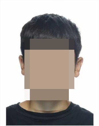 https://imgix.seoghoer.dk/2025-08-11/16-aarig-svensk-mand-%28sigtet-for-medvirken-til-drabsforsoeg%291_anonymized.jpg