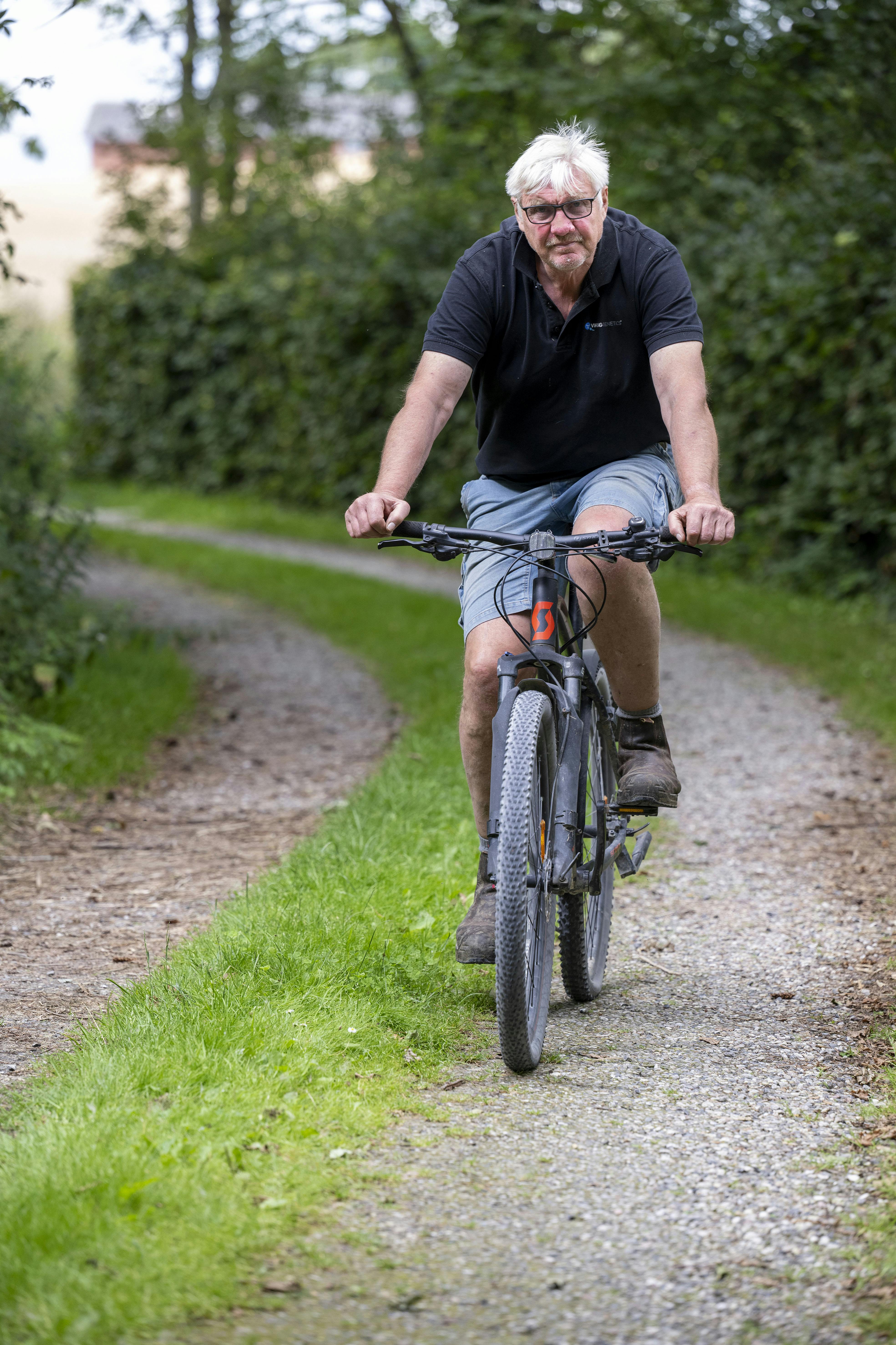 Der er kun fire minutter på cykel til Lars’ arbejde hos Viking Genetics, som producerer tyresæd. – Vi er 130 ansatte, der passer 350 tyre, forklarer Lars om sit arbejde.