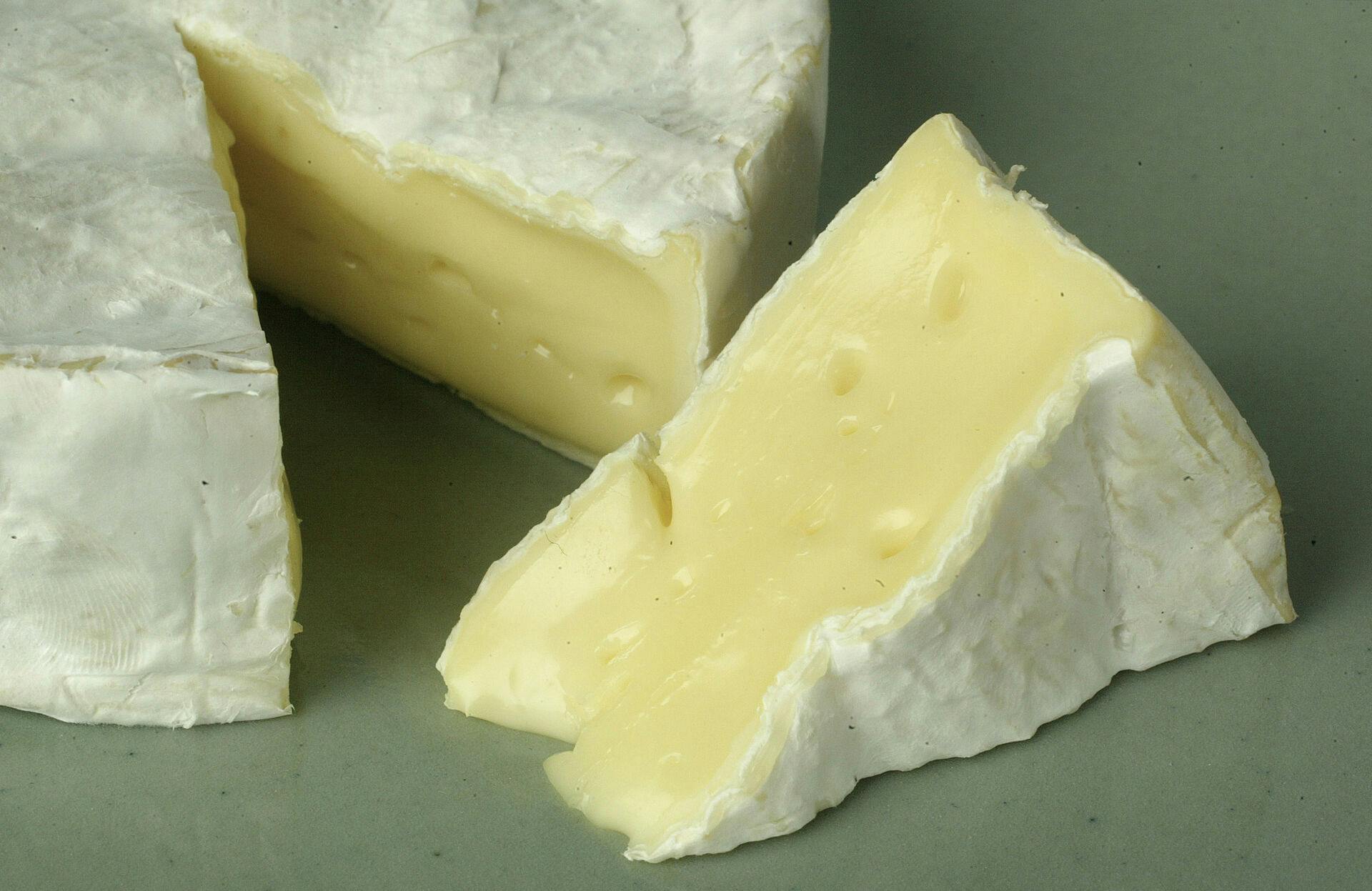 cheese071_mac.jpg Cheese, "Le chantelain Camembert". 11/12/03 in STUDIO. MICHAEL MACOR/ The Chronicle (MICHAEL MACOR/San Francisco Chronicle via AP)