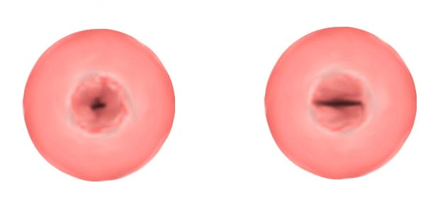https://imgix.seoghoer.dk/2025-08-18/liv.png