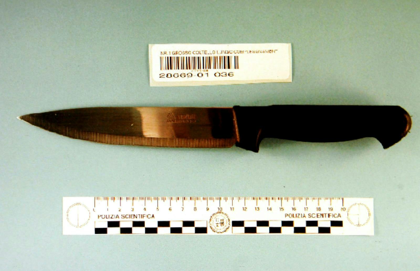 Amanda knox