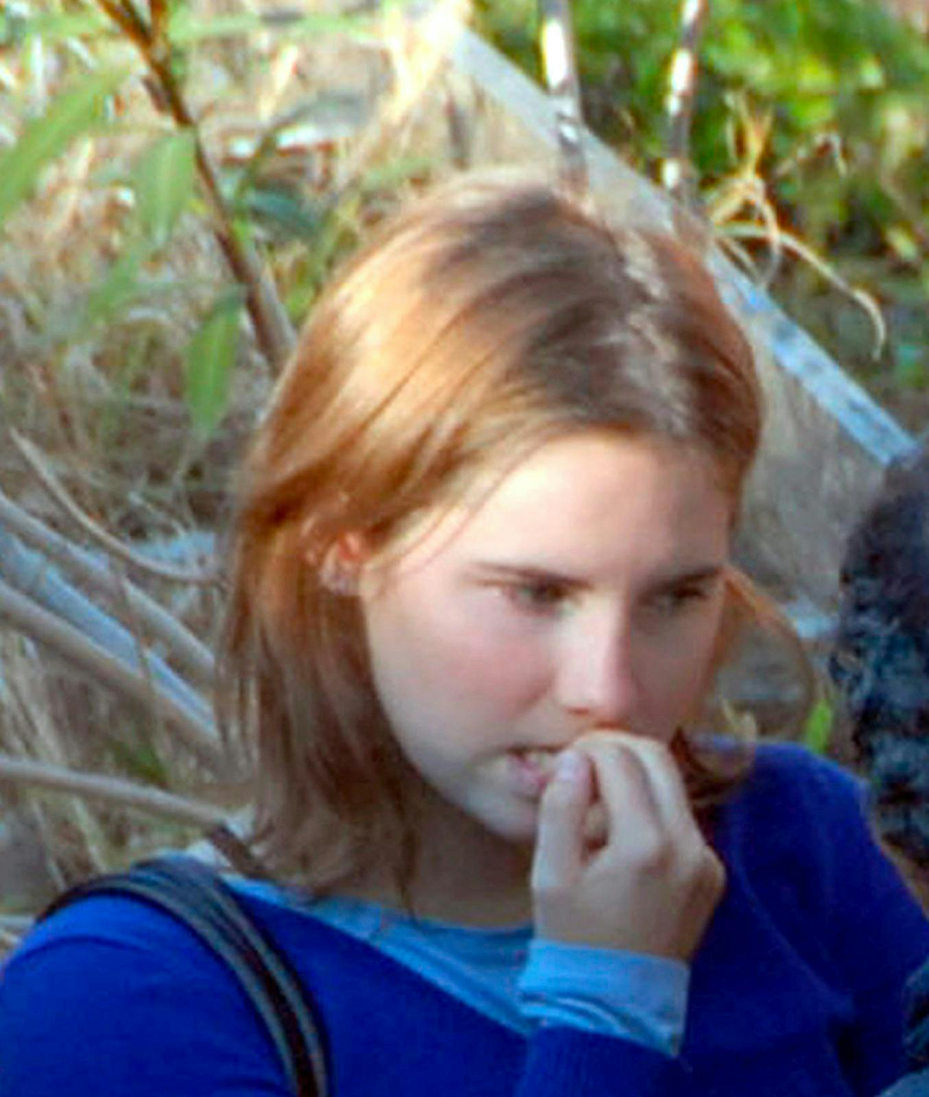 Amanda knox