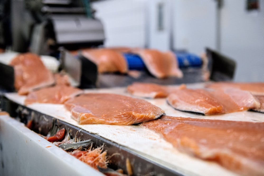 Polar Salmon Hjerting Laks har været centrum for en sag om listeria i fisk. Nu har virksomheden stoppet produktionen af de listeriainficerede fisk og har fået ophævet markedsføringsforbud. (Arkivfoto).&nbsp;