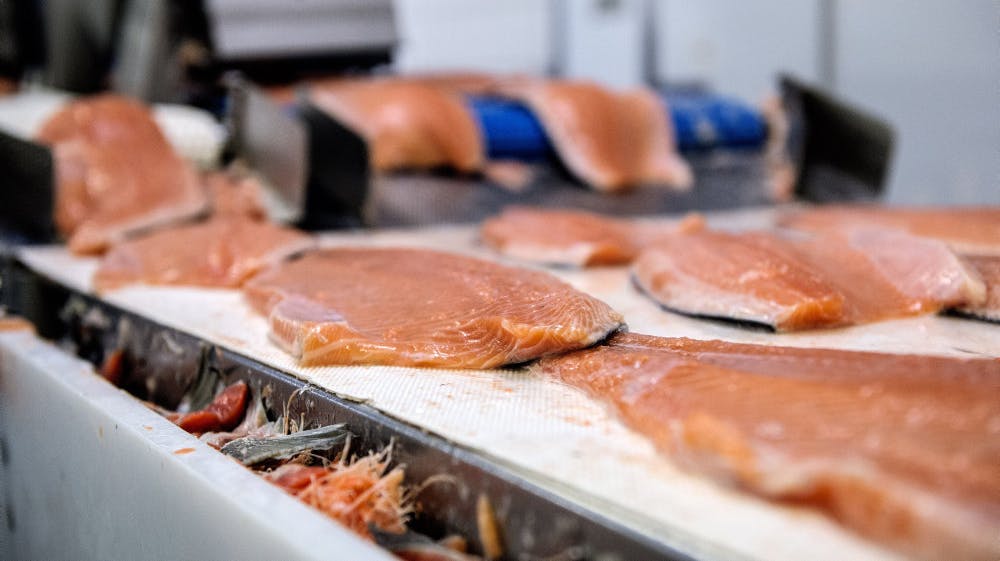 Polar Salmon Hjerting Laks har været centrum for en sag om listeria i fisk. Nu har virksomheden stoppet produktionen af de listeriainficerede fisk og har fået ophævet markedsføringsforbud. (Arkivfoto). 