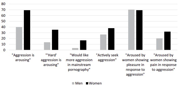 https://imgix.seoghoer.dk/2025-10-01/pornoaggression.png