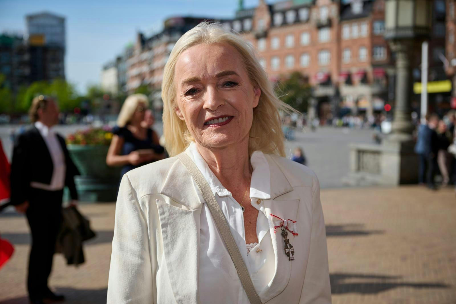 Anne Linnet skal ifølge ekspert fjerne den hæk, der omkrænser hendes private trekant, som ifølge Københavns Kommune er ulovlig.