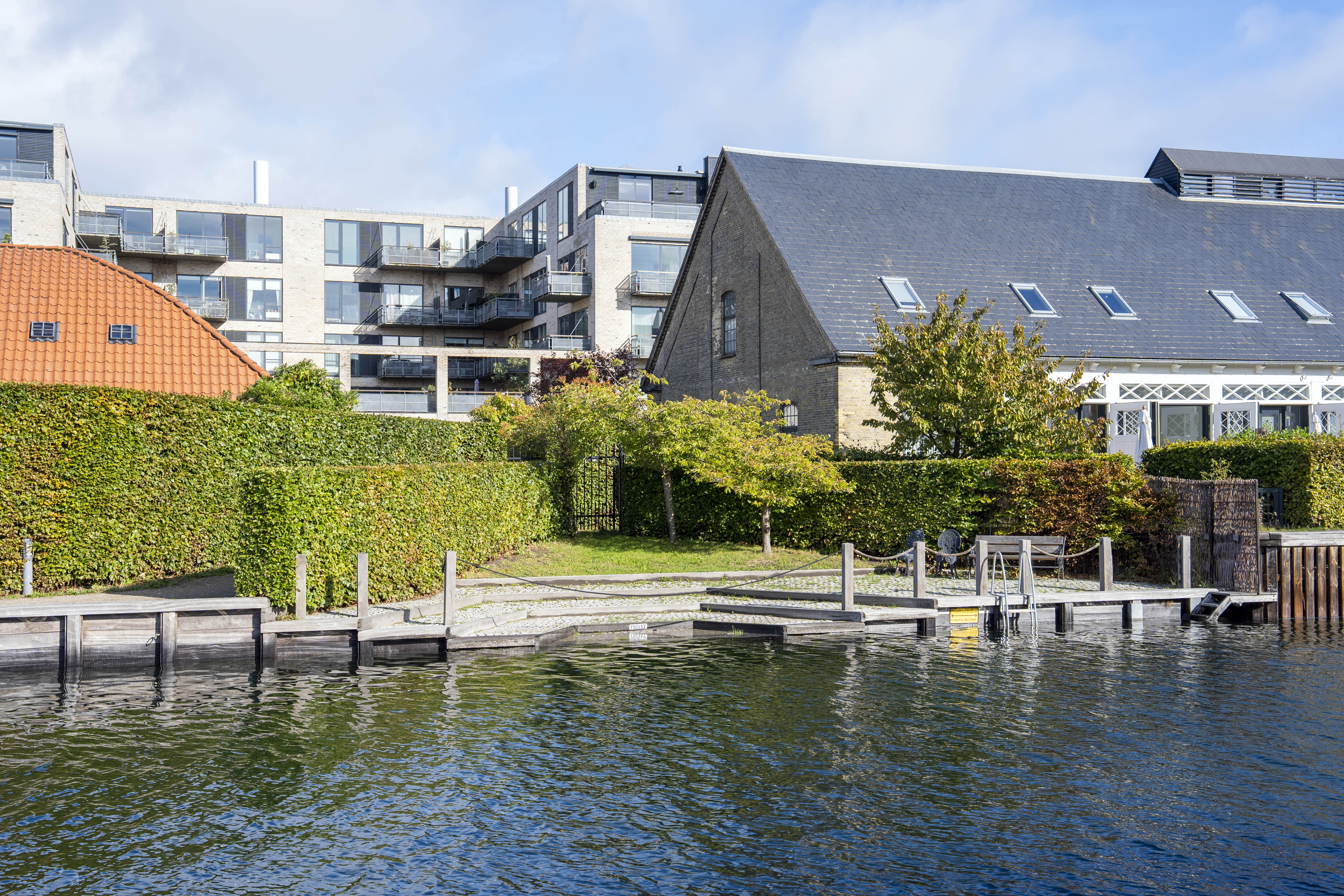 Hækken danner en trekant, og ifølge ekspert skal den væk.
