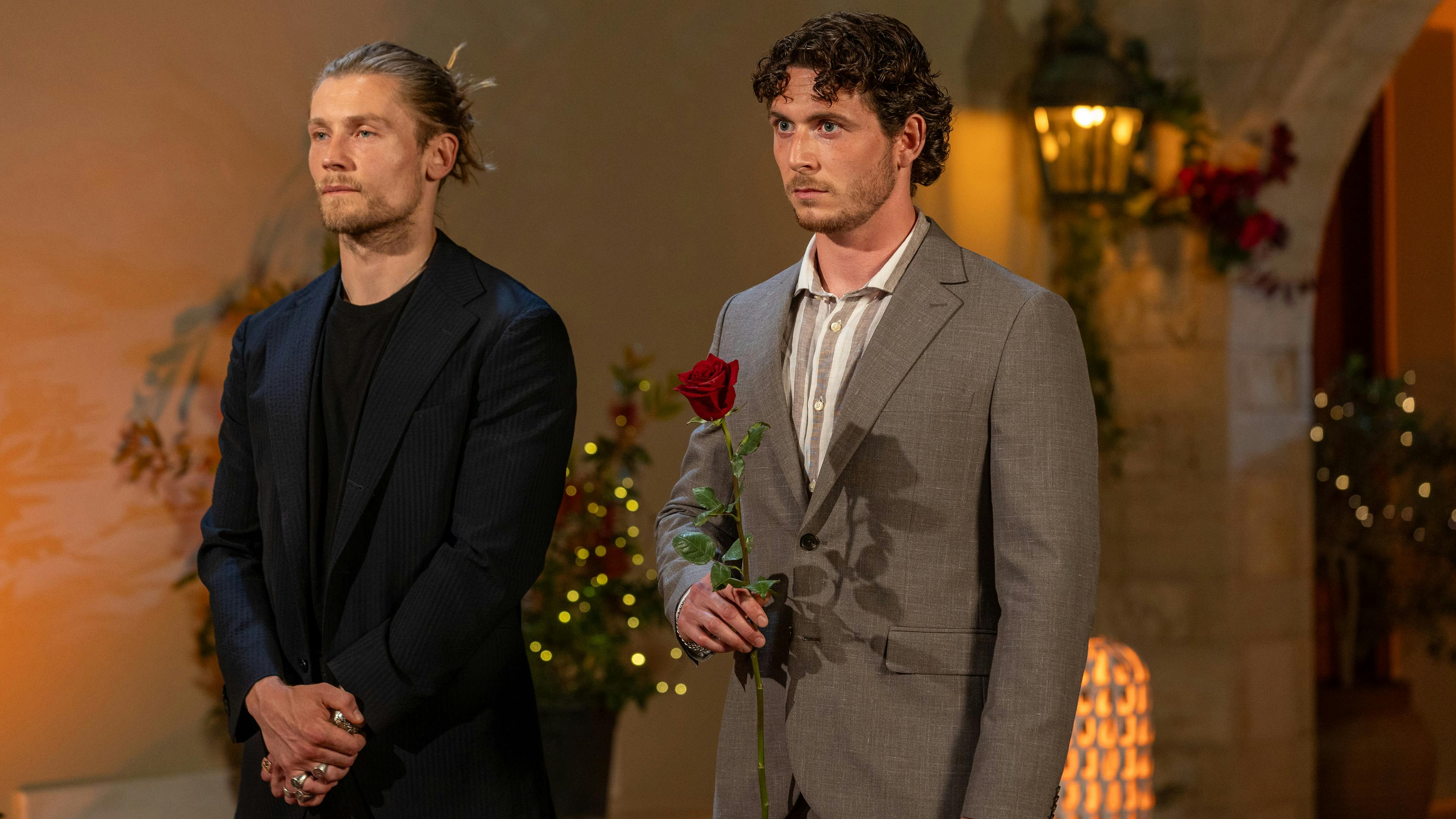 Bachelor