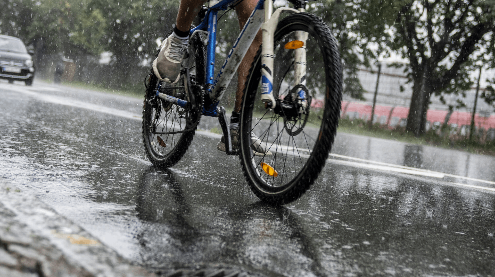 - Der kommer regn i alle mulige former både i form af fronter, nedbør og byger, siger vagthavende meteorolog ved DMI, Mille Jensen, om ugens vejr.