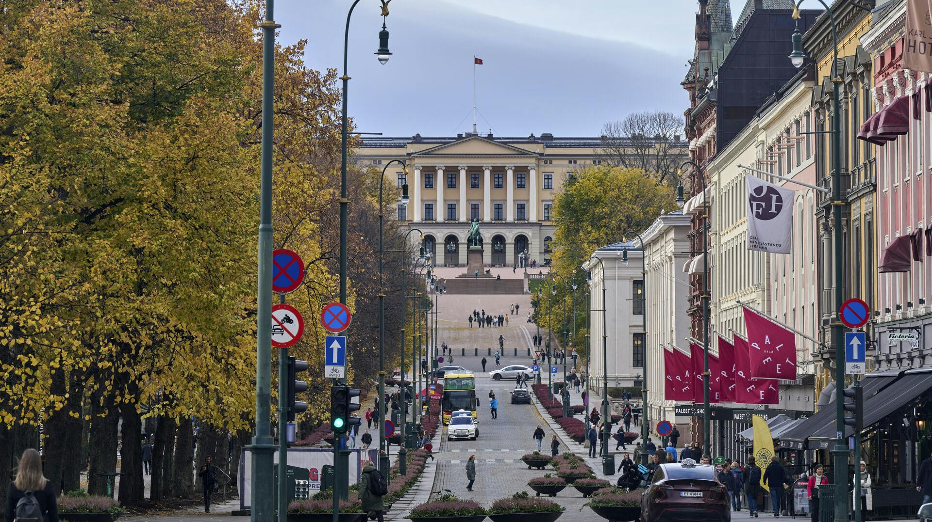 Karl johan gaden i Oslo med det Kongelige Slott i baggrunden, 23.oktober